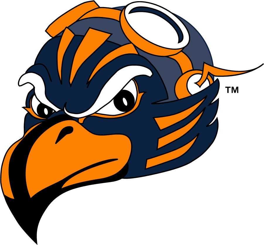 Tennessee-Martin Skyhawks 2007-2020 Mascot Logo diy DTF decal sticker